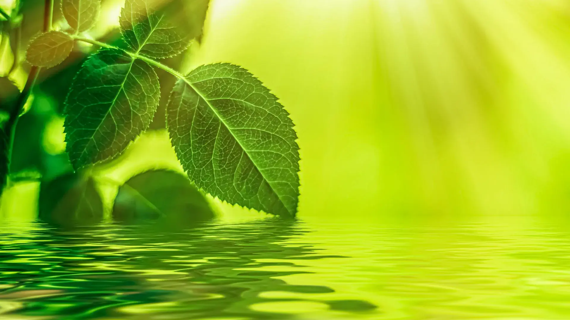Nettoyage industriel eco-responsable et engagements RSE Herault
